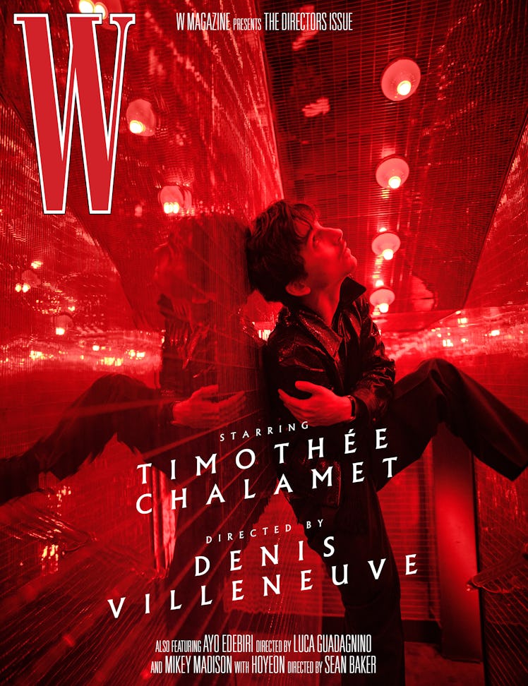 Timothée Chalamet on cover of W magazine